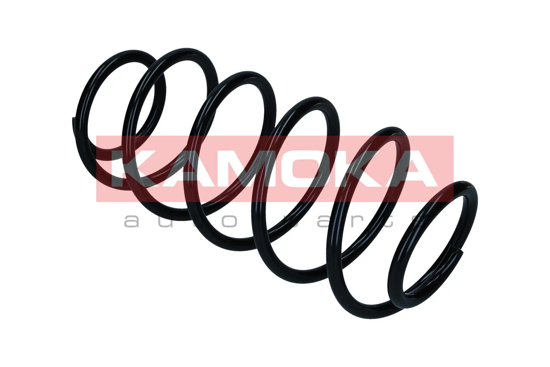 Suspension Spring 2110718