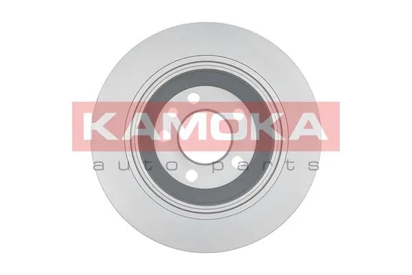 Brake Disc 1031121
