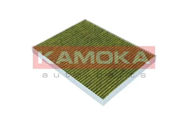 Filter, cabin air 6080037