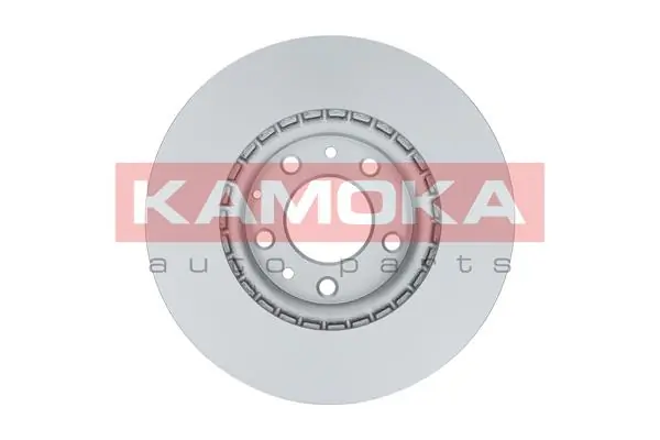 Brake Disc 1031087