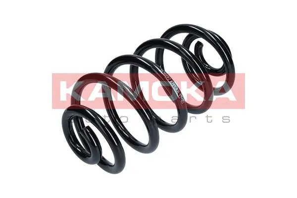 Suspension Spring 2120197