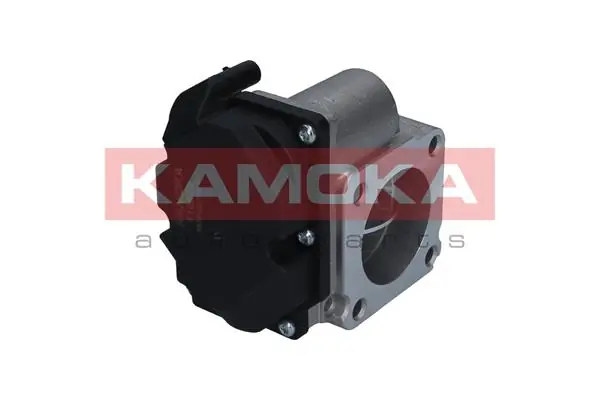 Throttle Body 112032