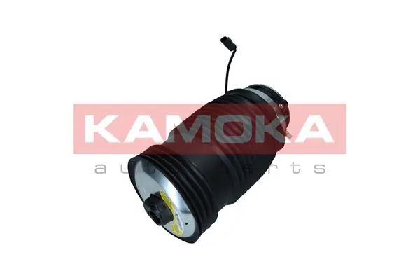 Air Spring, suspension 2079051
