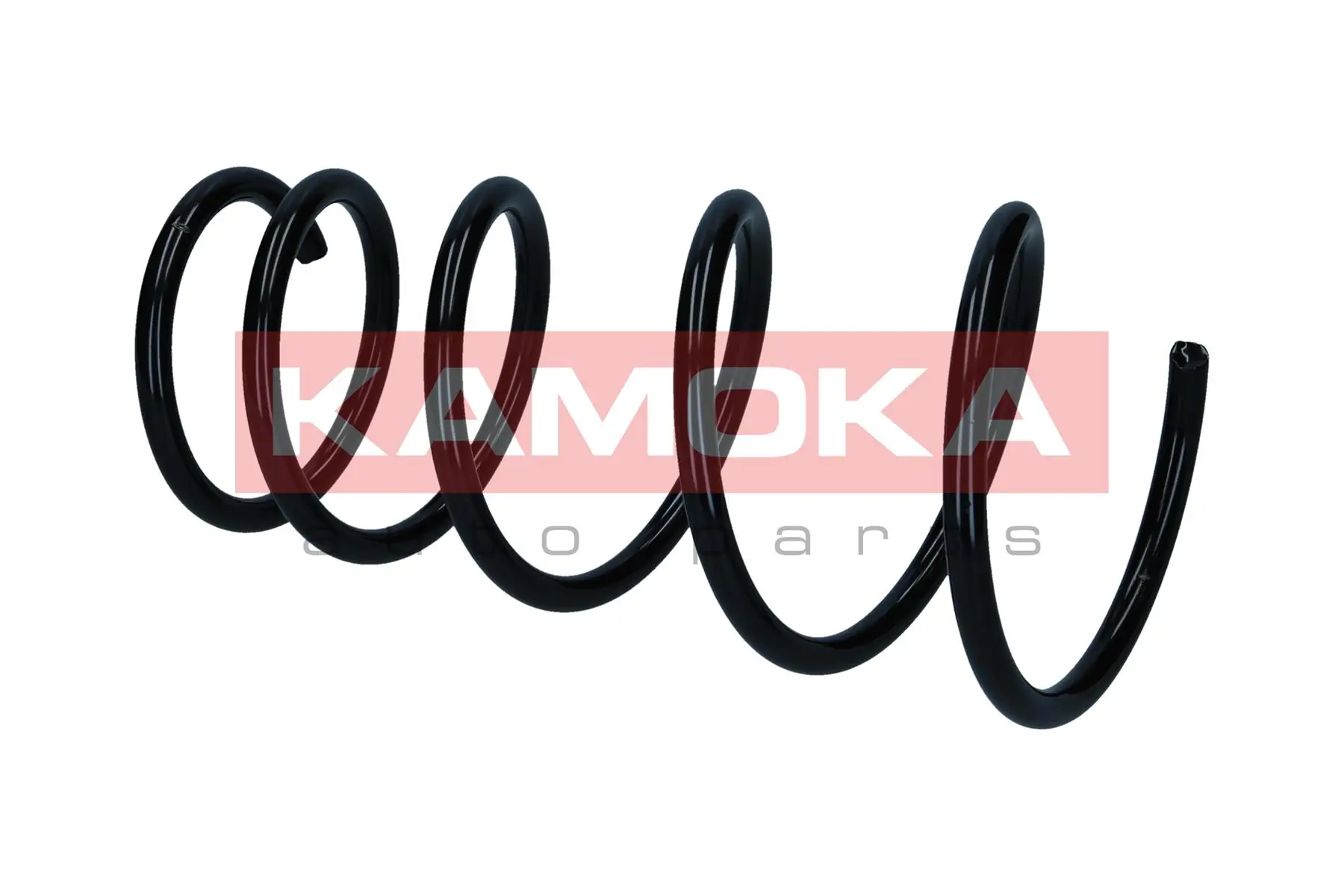 Suspension Spring 2110671