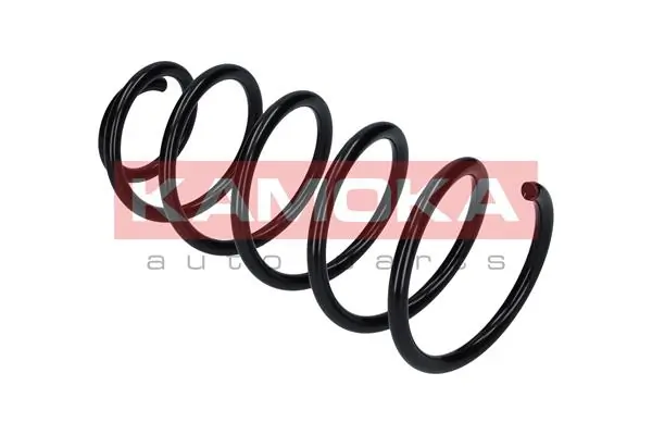 Suspension Spring 2110060