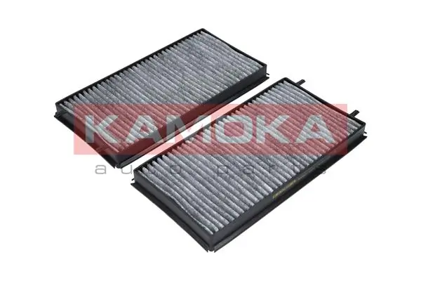 Filter, cabin air F505601