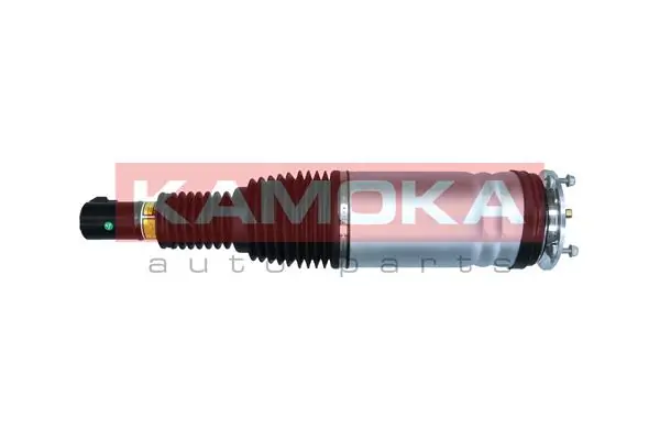 Air Suspension Strut 2070011