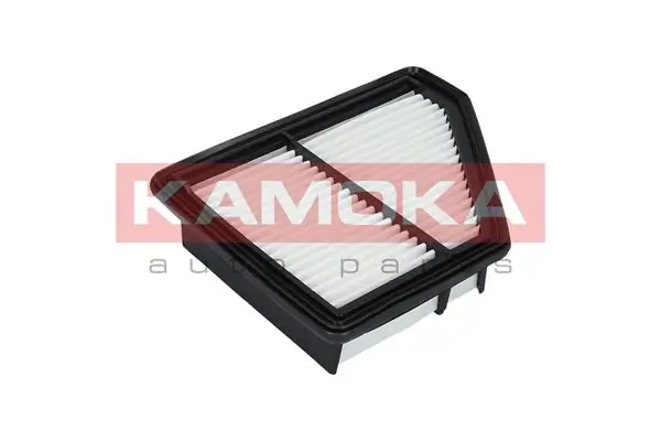 Air Filter F234301