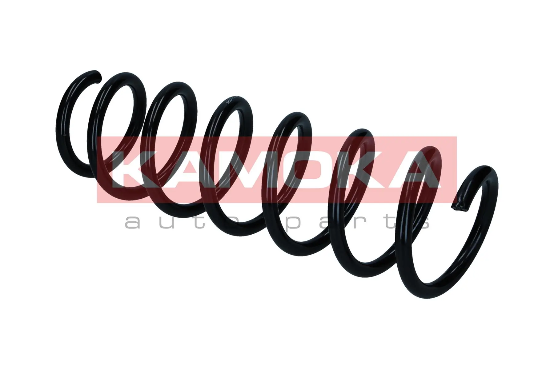 Suspension Spring 2110418