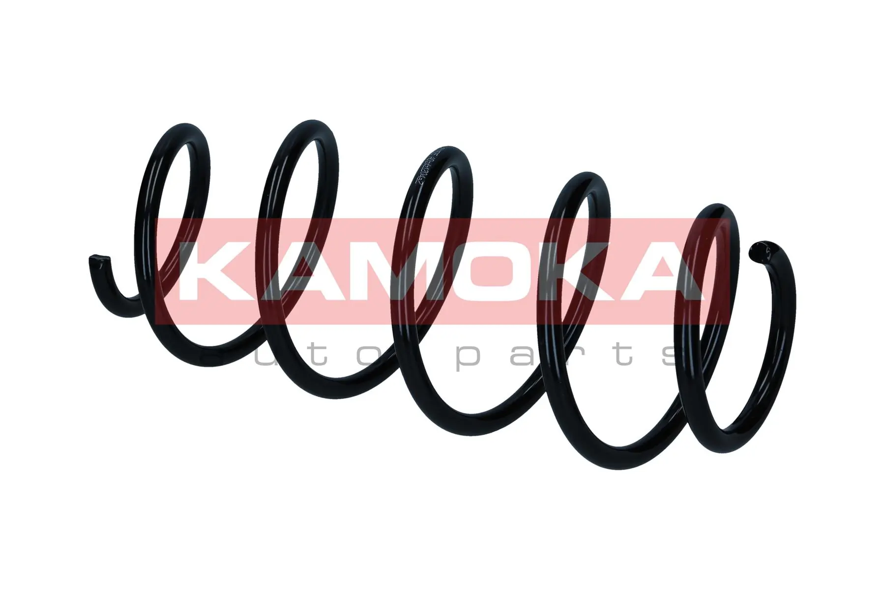 Suspension Spring 2110671