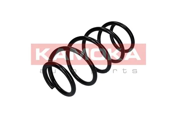 Suspension Spring 2110360