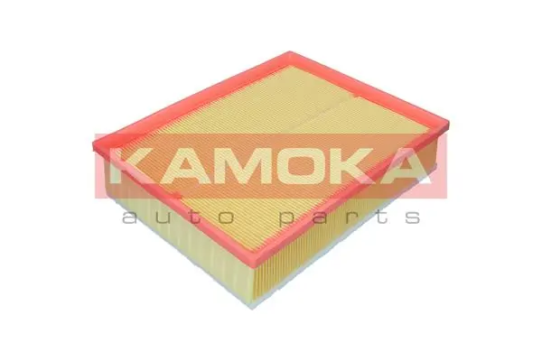 Air Filter F259001