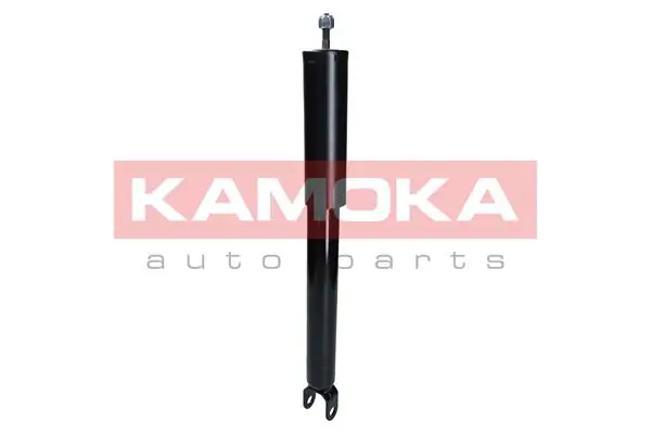 Shock Absorber 2000997