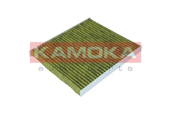 Filter, cabin air 6080080