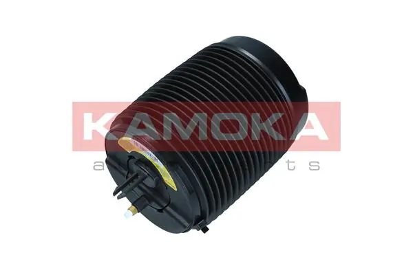 Air Spring, suspension 2079068