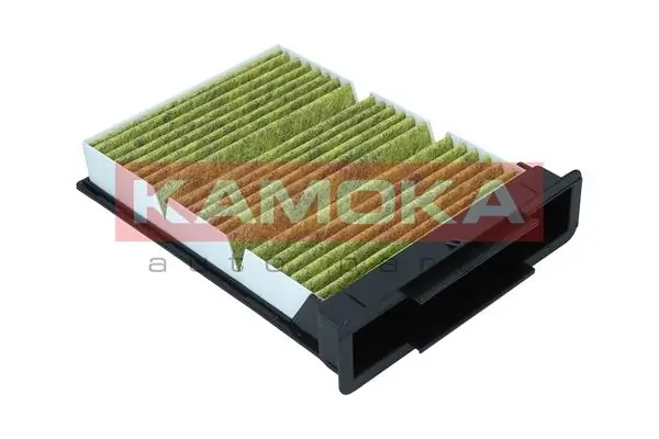 Filter, cabin air 6080121