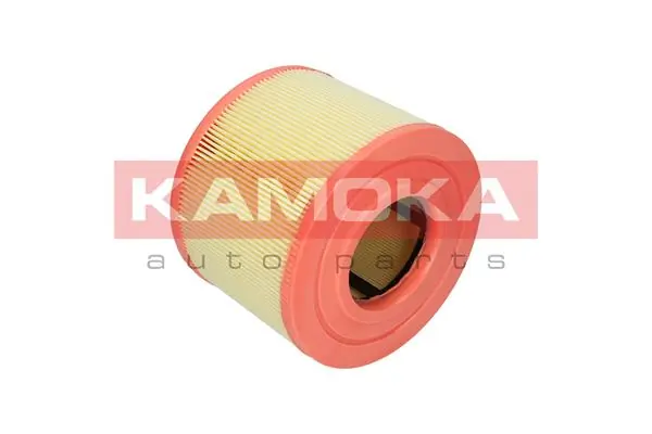 Air Filter F215201