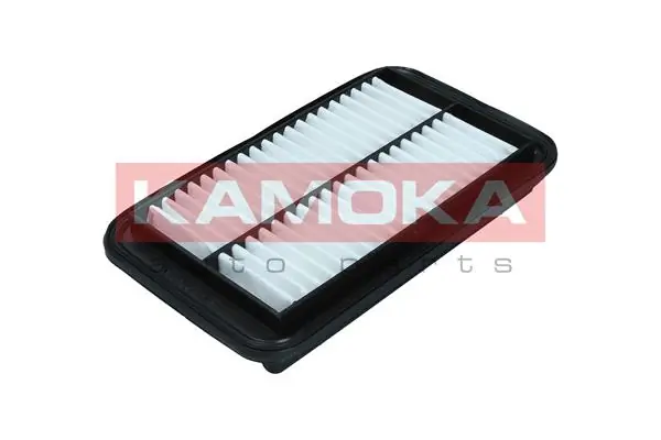 Air Filter F250101