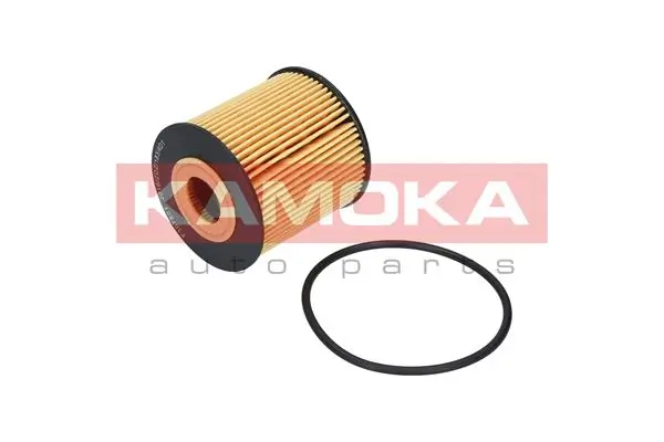 Oil Filter F107801