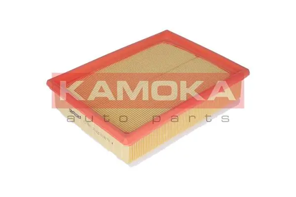Air Filter F218501