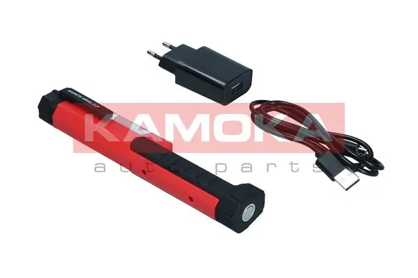 Vibration Damper, timing belt R8011