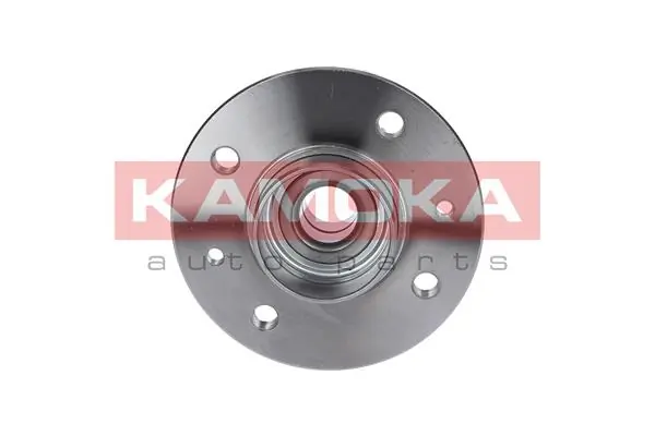 Wheel Bearing Kit 5500001