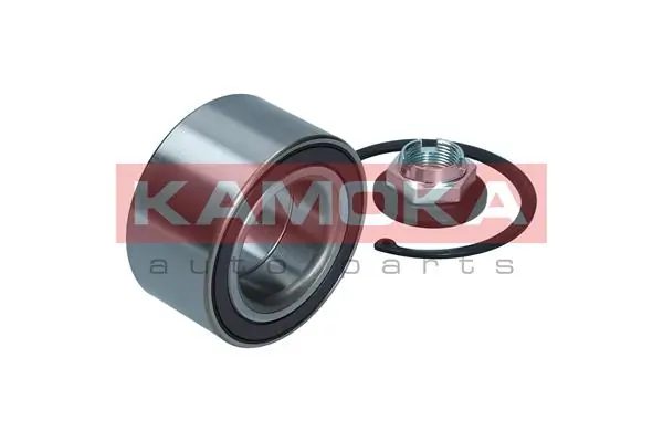 Wheel Bearing Kit 5600143