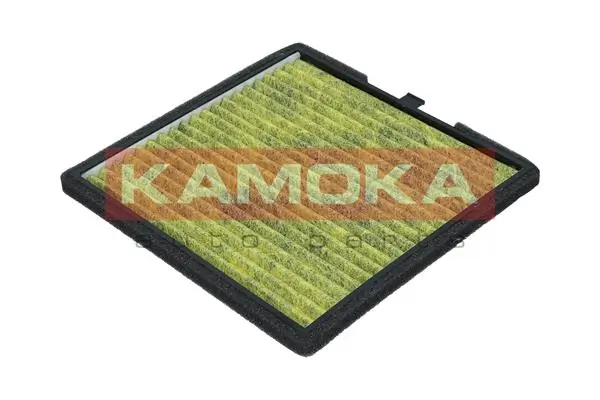 Filter, cabin air 6080131