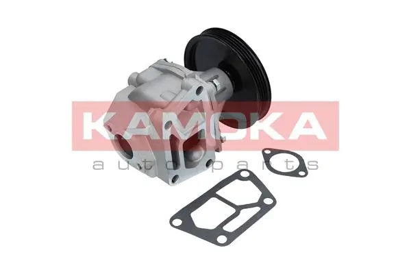 Water Pump, engine cooling T0123
