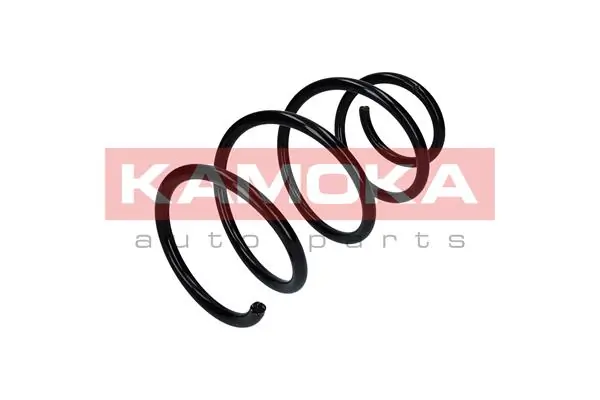 Suspension Spring 2110321