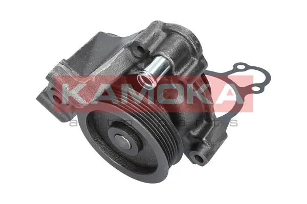 Water Pump, engine cooling T0003