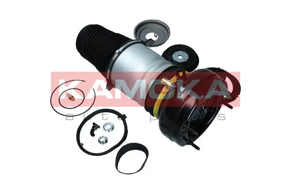 Air Spring, suspension 2079005