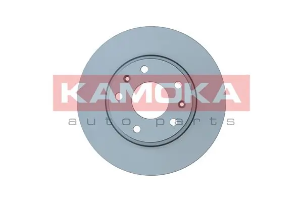 Brake Disc 103071