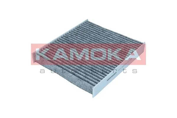 Filter, cabin air F521701