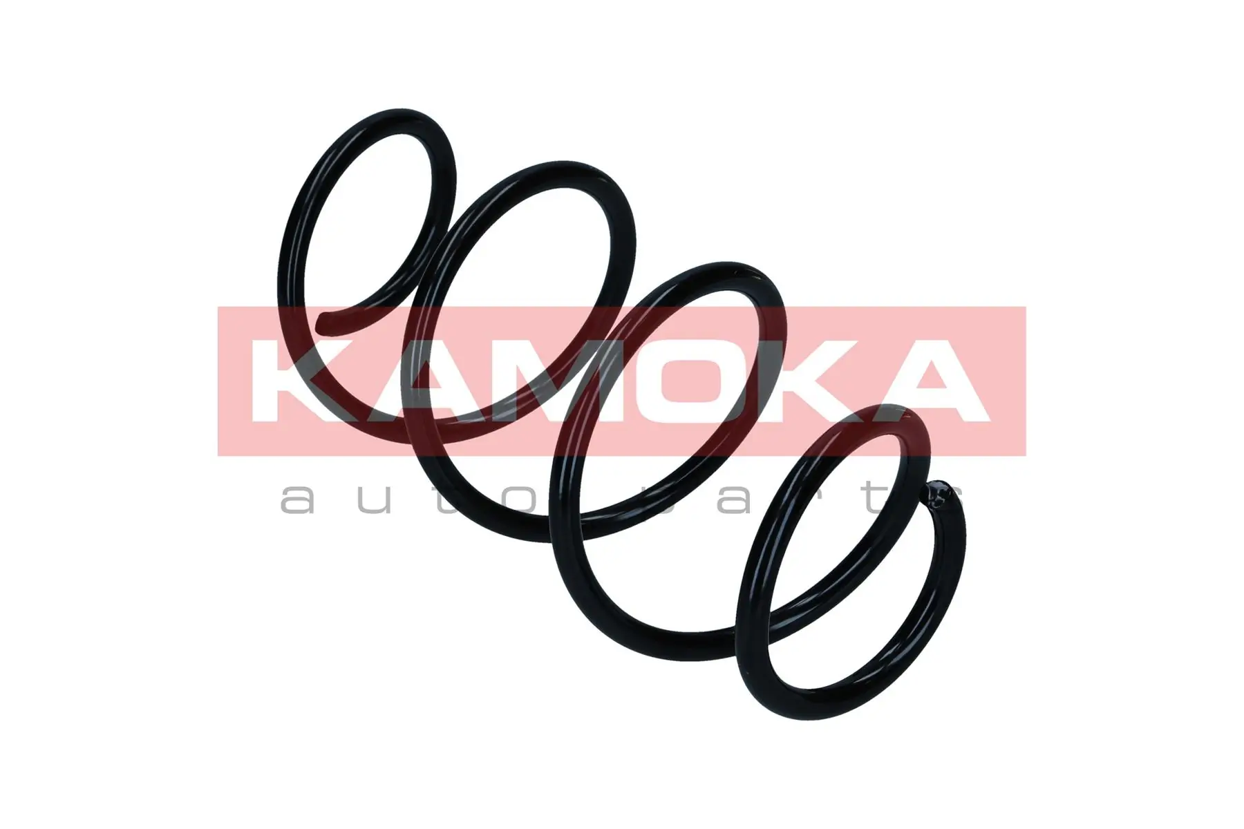 Suspension Spring 2110739