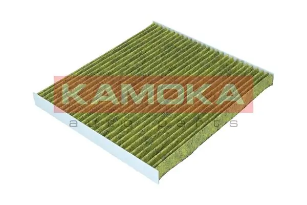 Filter, cabin air 6080156