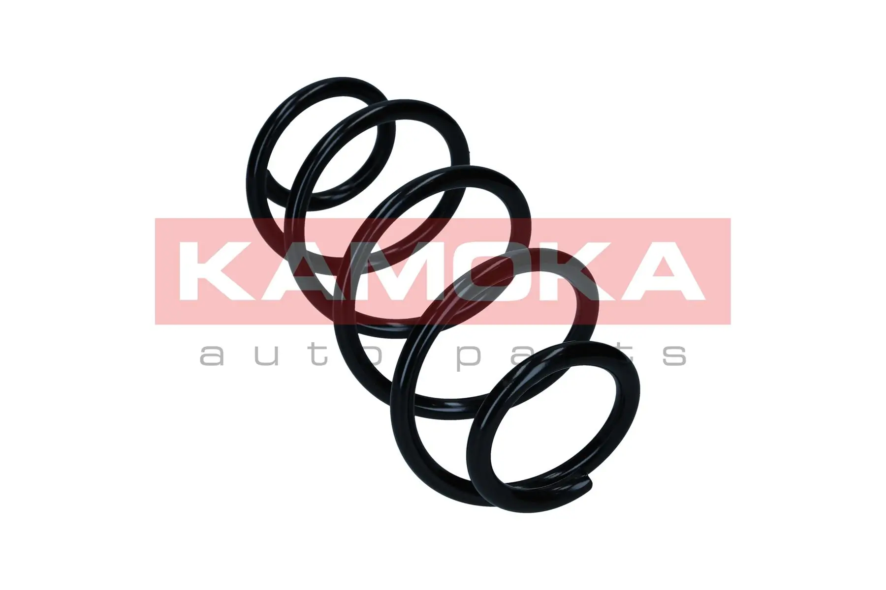 Suspension Spring 2110836