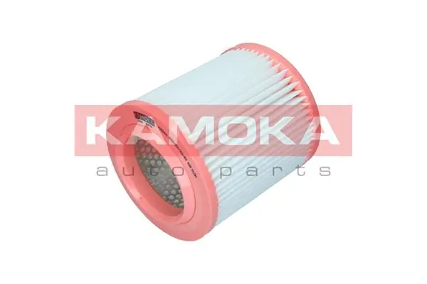 Air Filter F252401