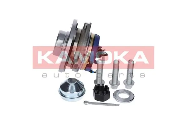 Wheel Bearing Kit 5500061