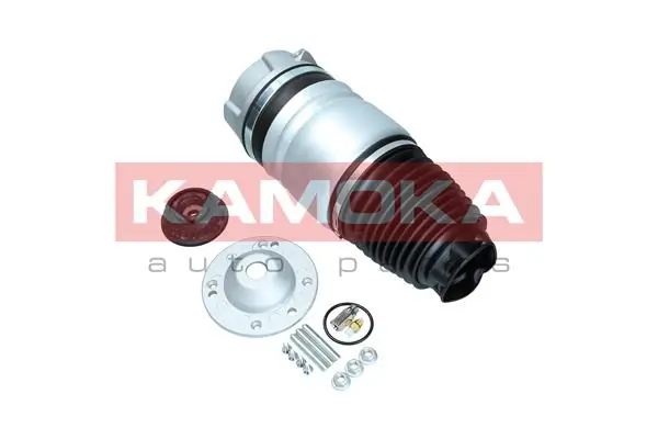 Air Spring, suspension 2079010