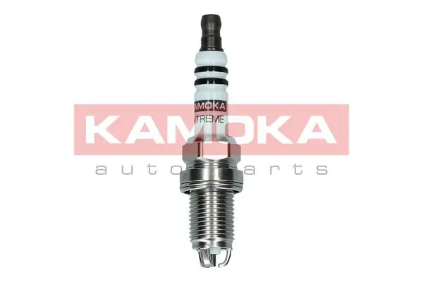 Spark Plug 7100508