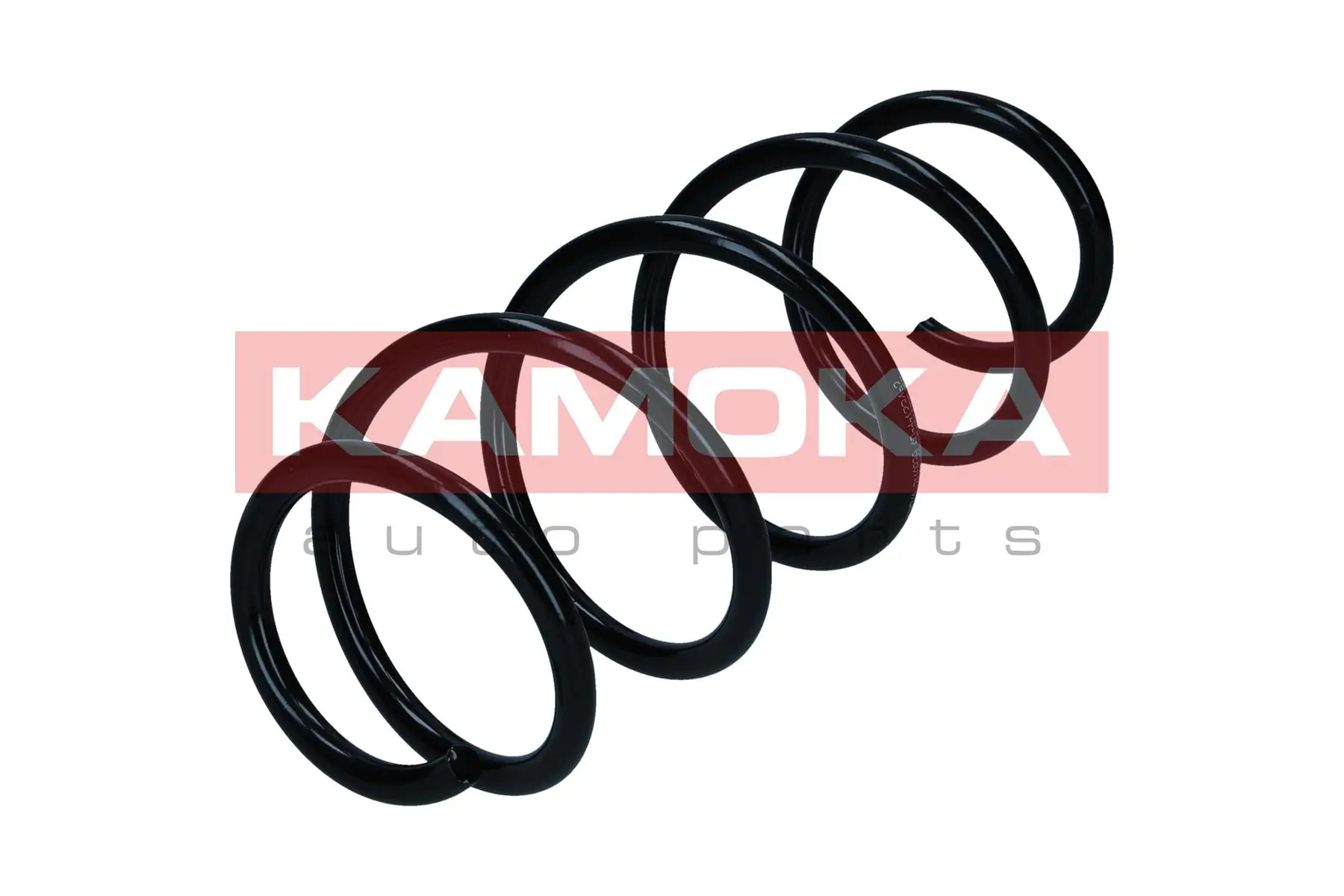 Suspension Spring 2110839