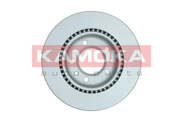 Brake Disc 103569