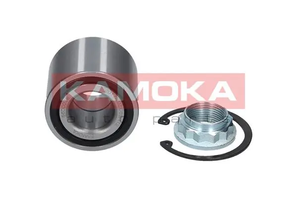 Wheel Bearing Kit 5500379