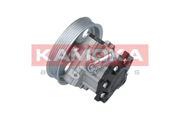 Hydraulic Pump, steering PP009