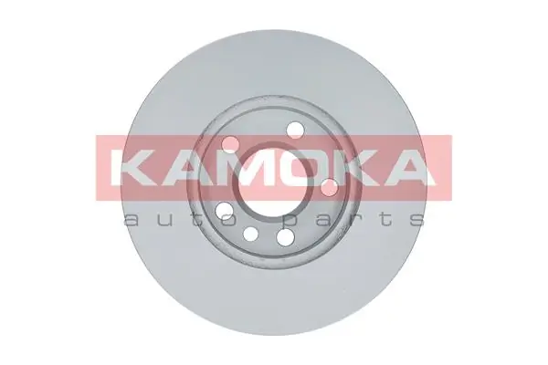 Brake Disc 1031691