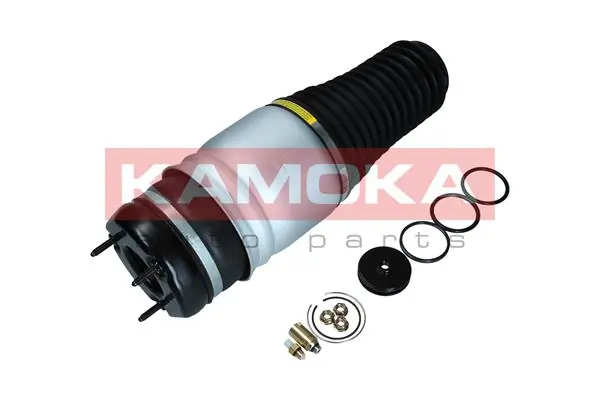 Air Spring, suspension 2079026