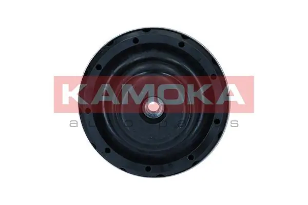 Repair Kit, suspension strut support mount 209283