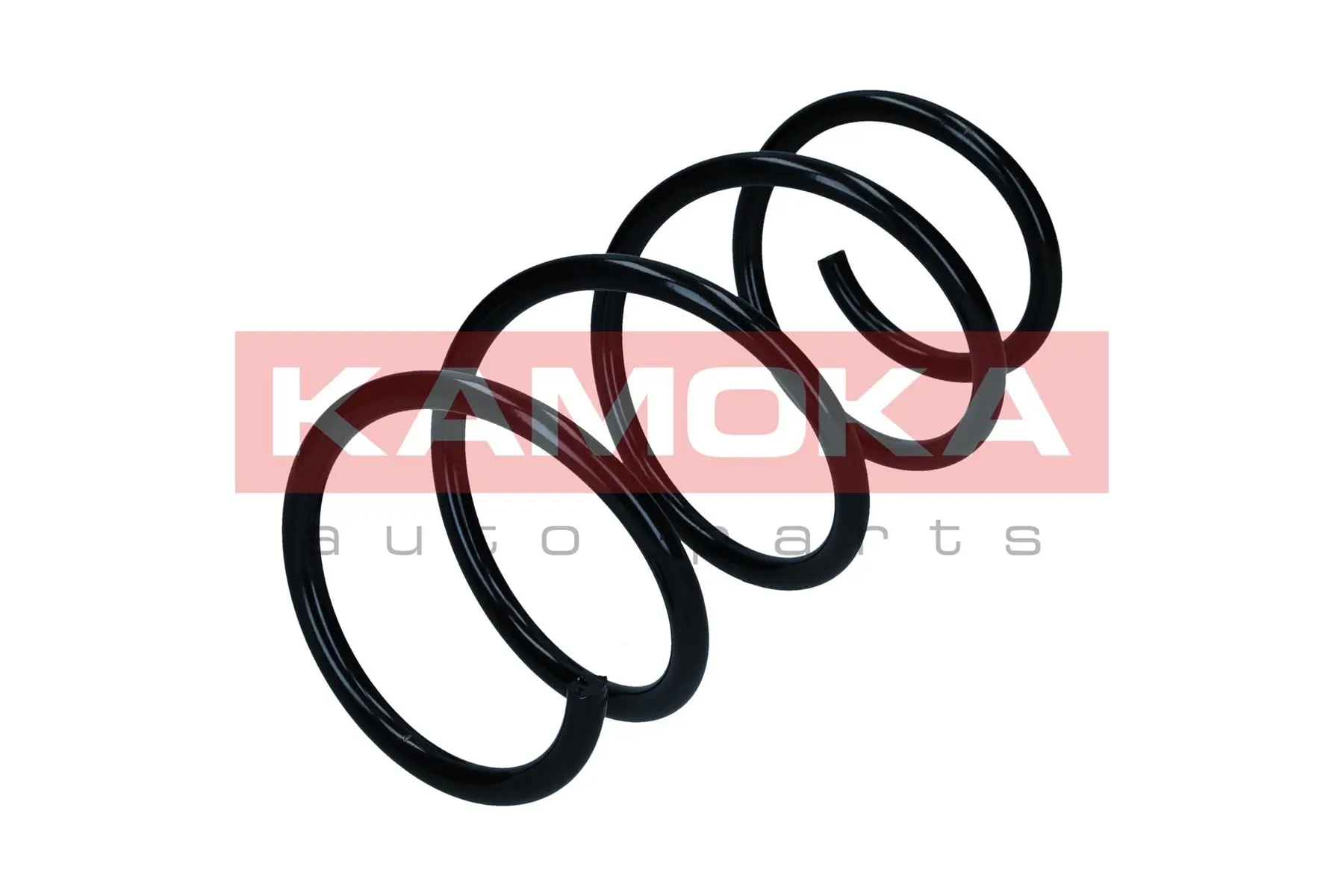 Suspension Spring 2110453