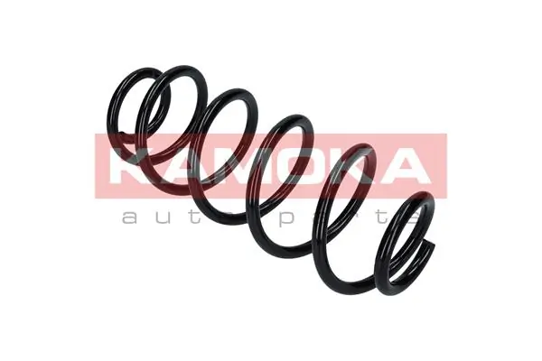 Suspension Spring 2120277